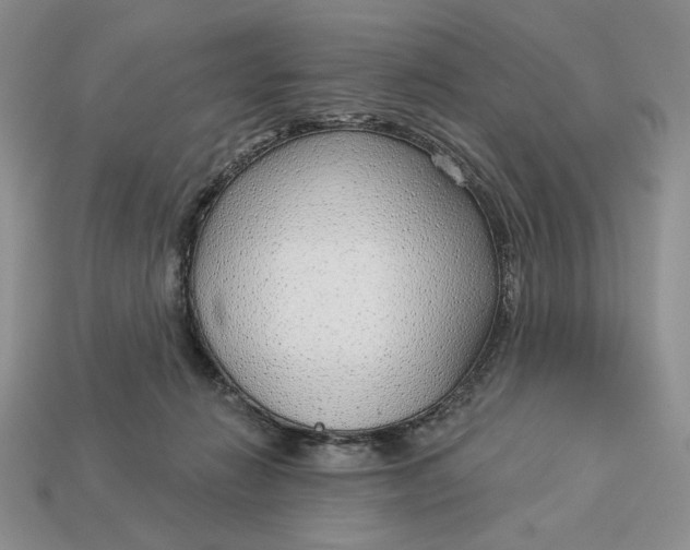 X0000112760270200909101536