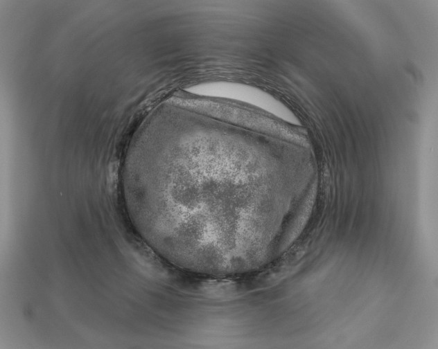 X0000112760271200909101536