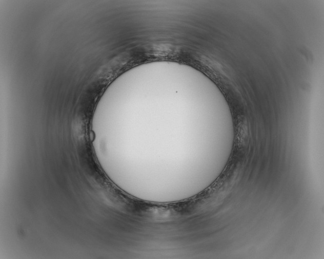 X0000112760272200909101536