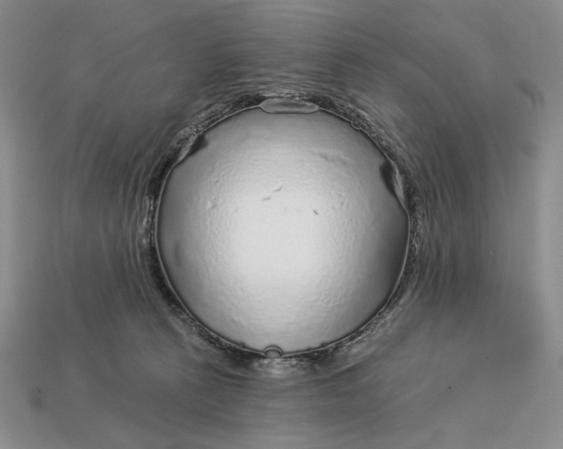 X0000112760273200909101536