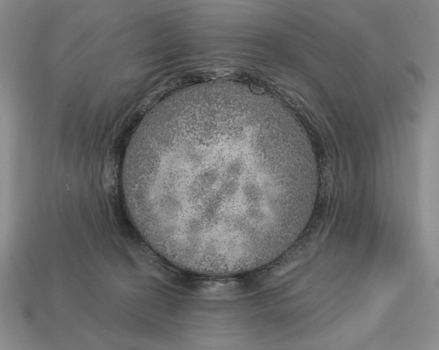X0000112760274200909101536