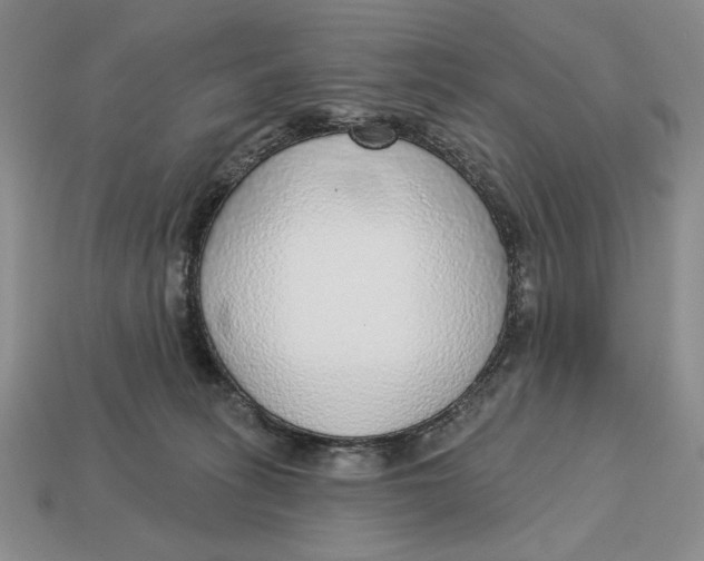 X0000112760275200909101536