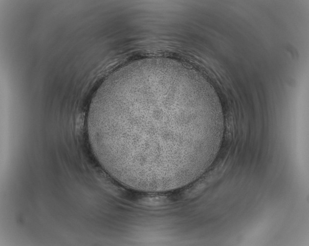 X0000112760278200909101536