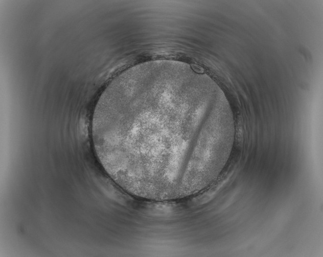 X0000112760282200909101536