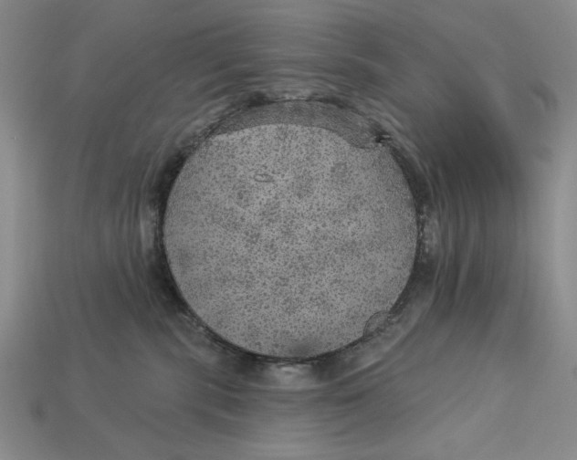 X0000112760283200909101536