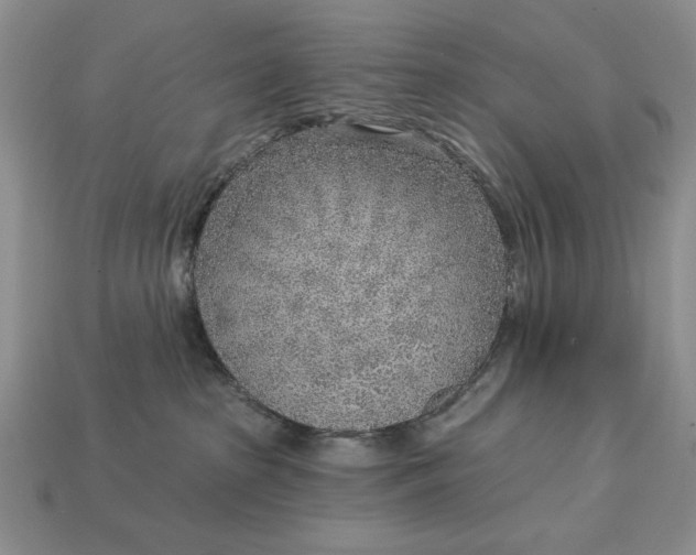 X0000112760285200909101536
