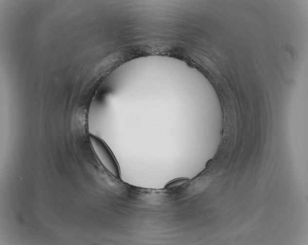 X0000112760288200909101536