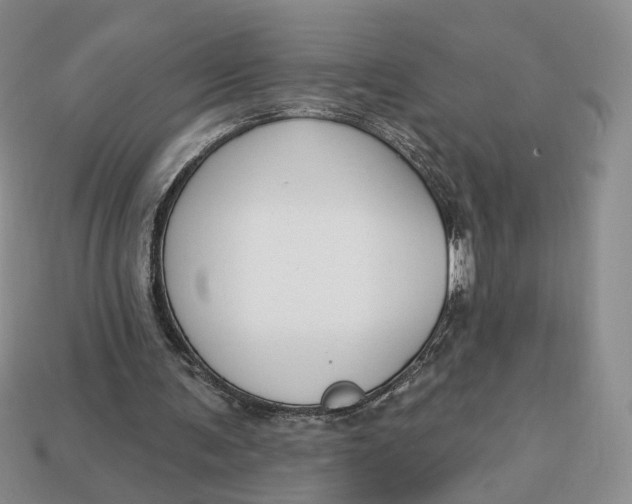 X0000112760291200909101536