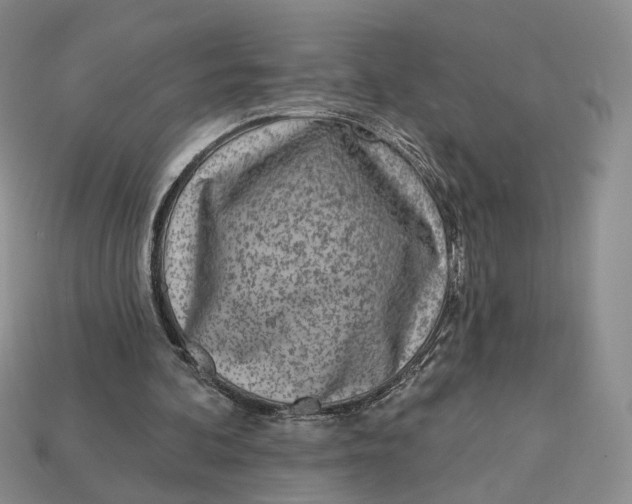 X0000112760292200909101536