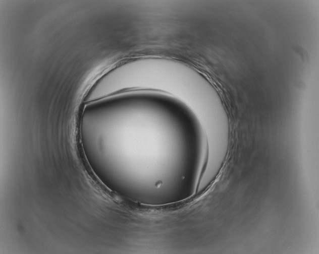 X0000112760293200909101536