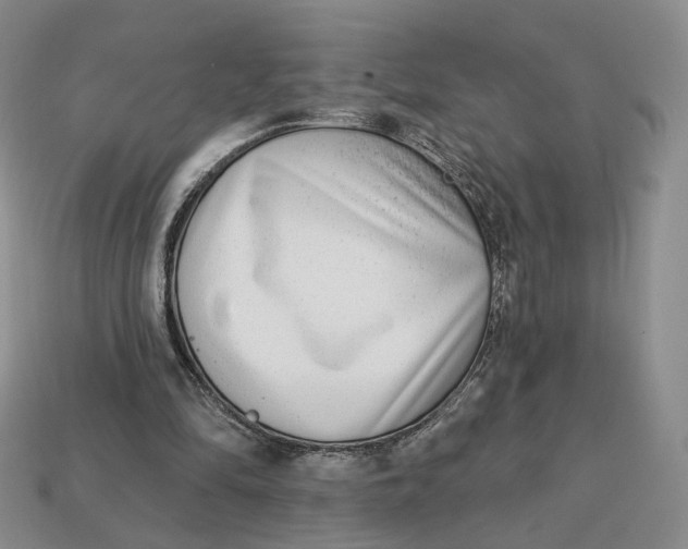 X0000112760294200909101536