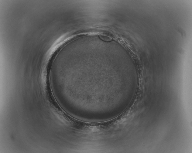 X0000112760295200909101536