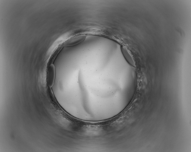 X0000112760296200909101536