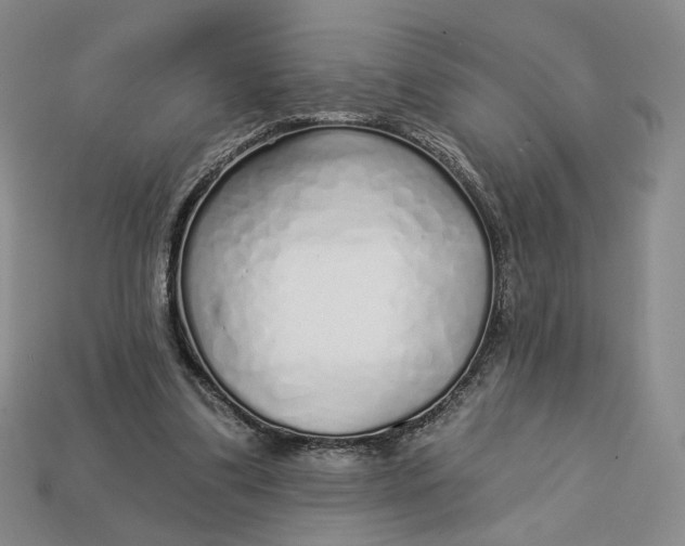 X0000112760299200909101536