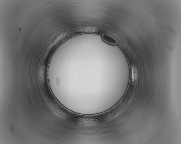 X0000112760300200909101536