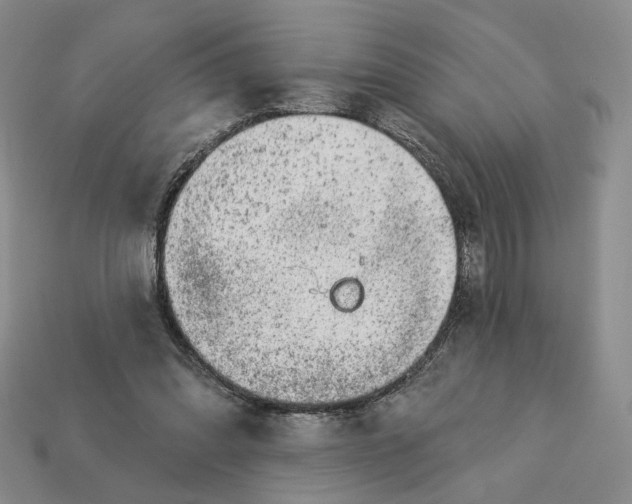 X0000112760302200909101535