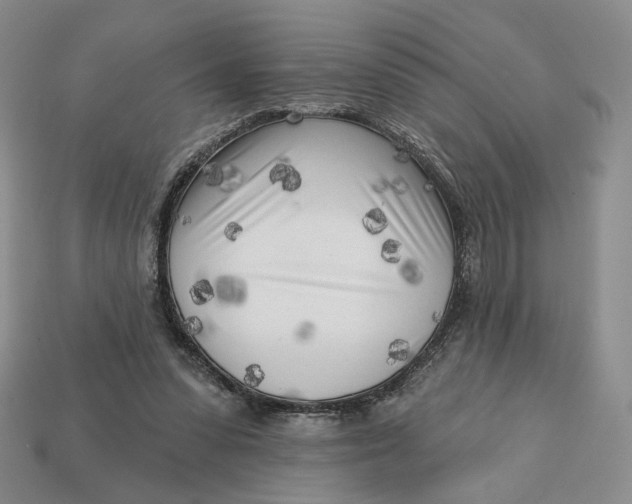 X0000112760303200909101535