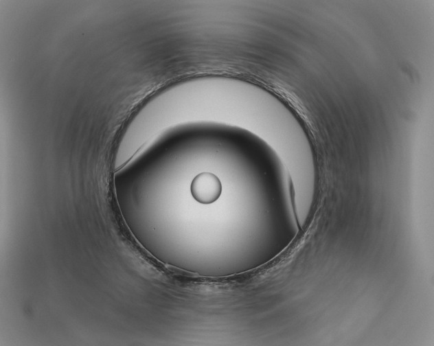X0000112760305200909101535