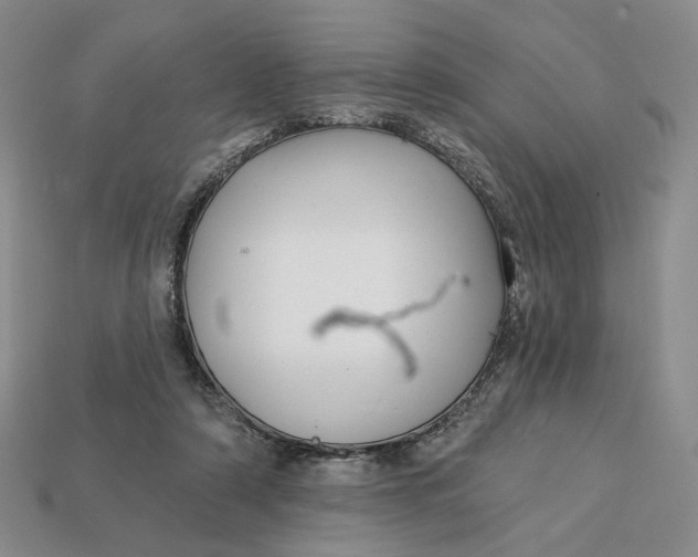 X0000112760306200909101535