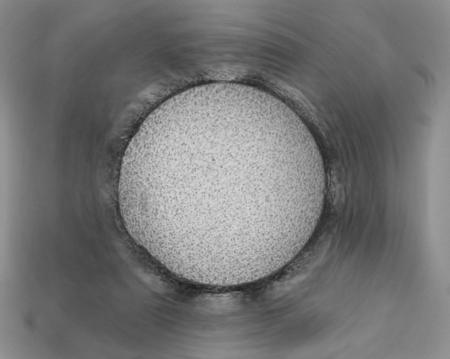 X0000112760307200909101535