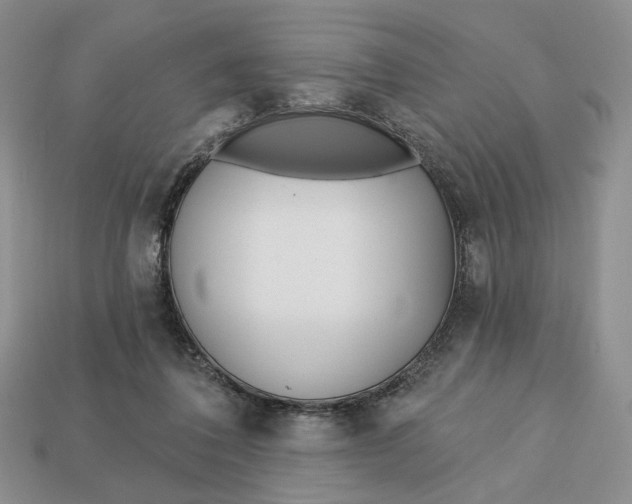 X0000112760308200909101535