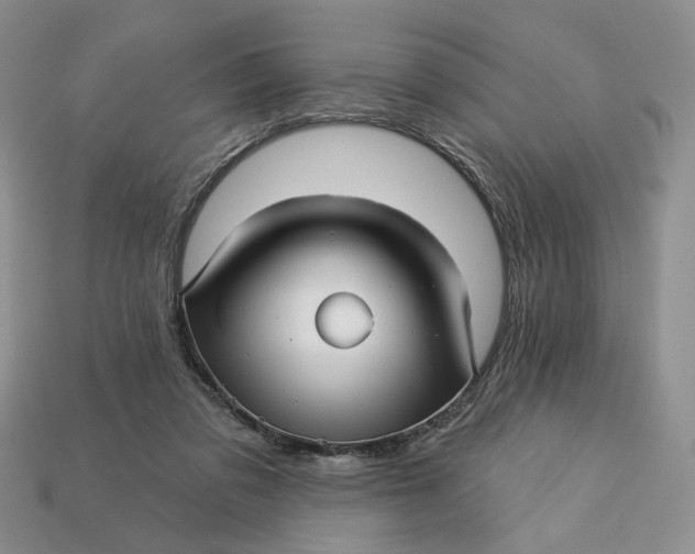 X0000112760309200909101535
