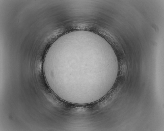 X0000112760310200909101535