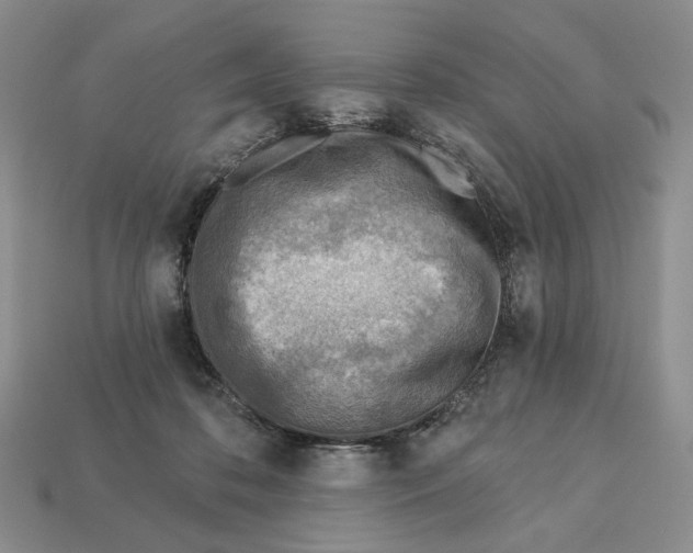 X0000112760316200909101535