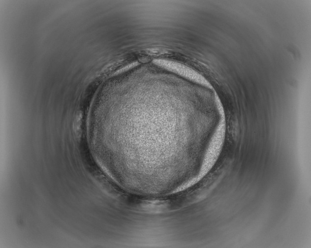 X0000112760319200909101535