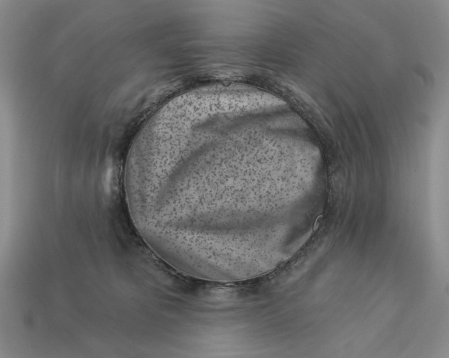 X0000112760325200909101535