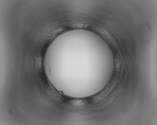 X0000112760326200909101535