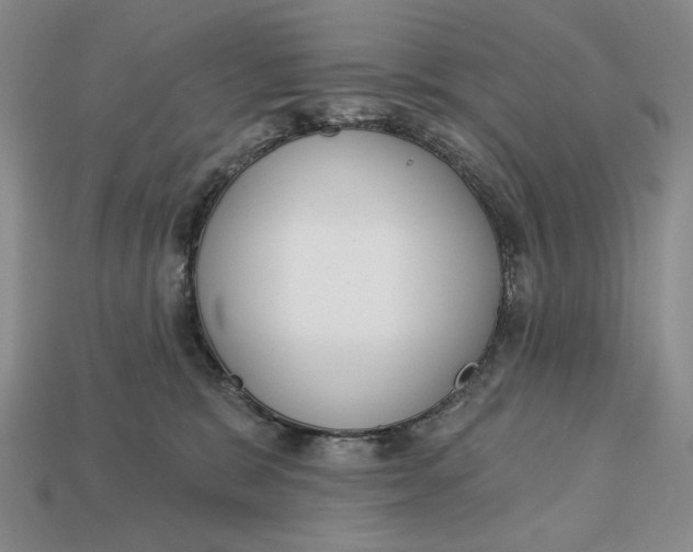 X0000112760327200909101535