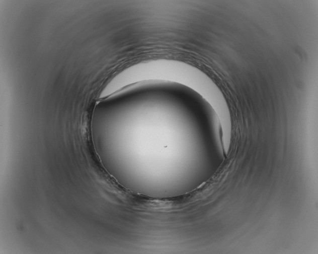 X0000112760328200909101535