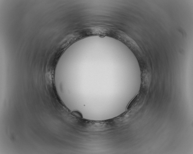 X0000112760329200909101535