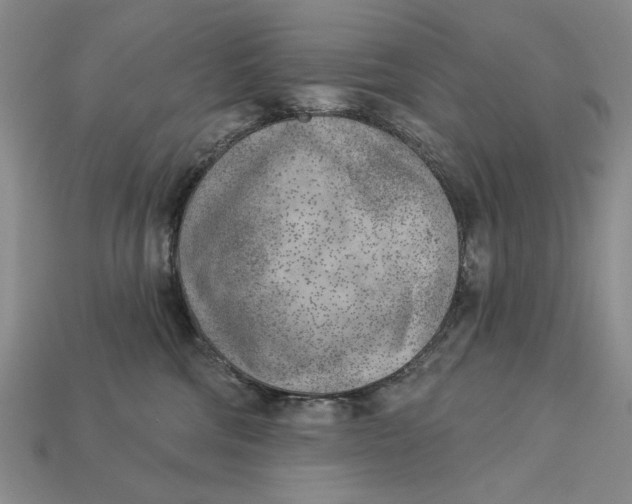 X0000112760330200909101535