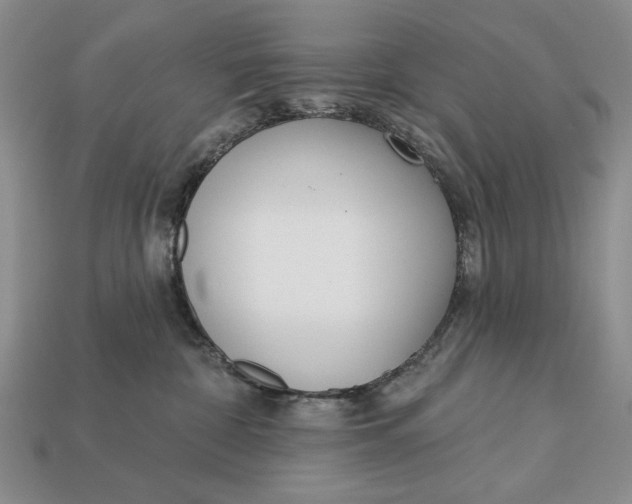 X0000112760332200909101535