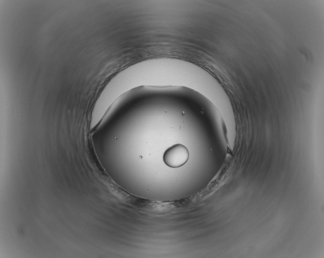 X0000112760333200909101535