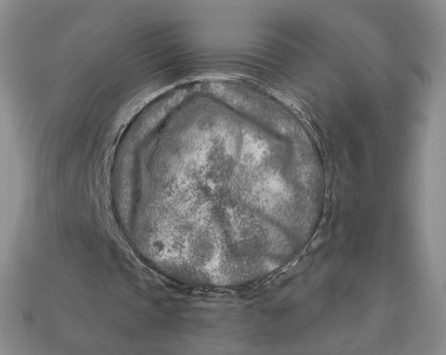 X0000112760337200909101534