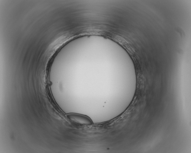 X0000112760338200909101534
