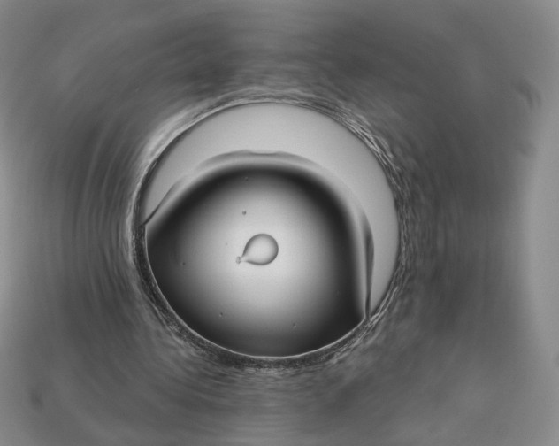 X0000112760340200909101534