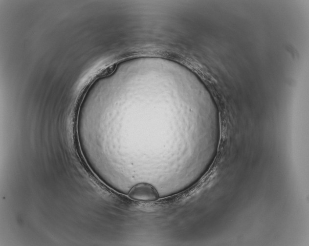 X0000112760341200909101534