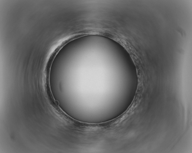X0000112760342200909101535