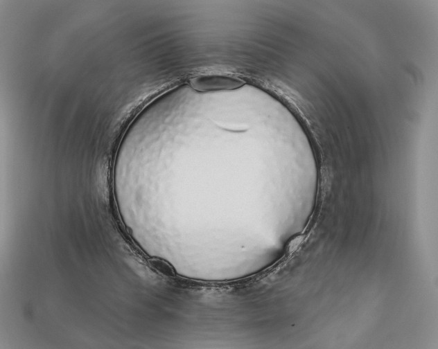 X0000112760345200909101535