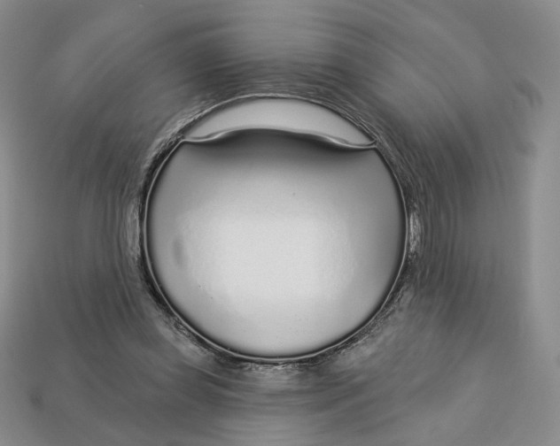 X0000112760349200909101535