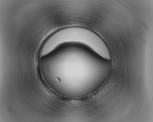 X0000112760350200909101535