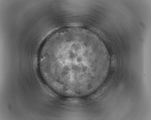 X0000112760351200909101535