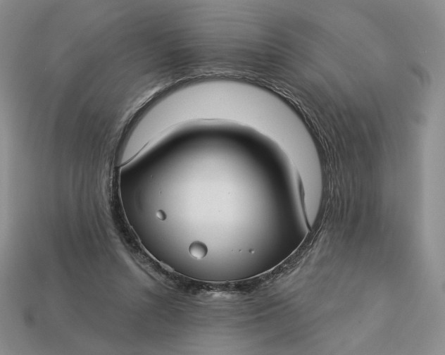 X0000112760352200909101535