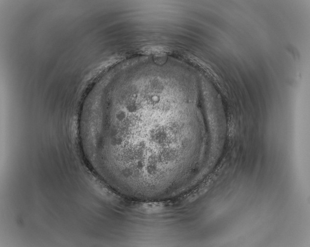 X0000112760353200909101535