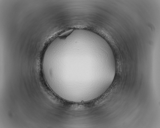 X0000112760354200909101535