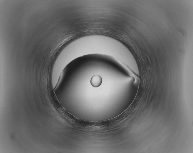 X0000112760356200909101535